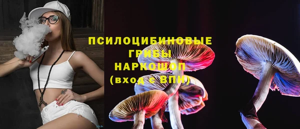 сатива Горнозаводск
