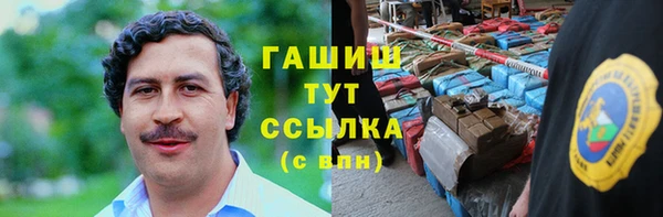 прущие грибы Горняк