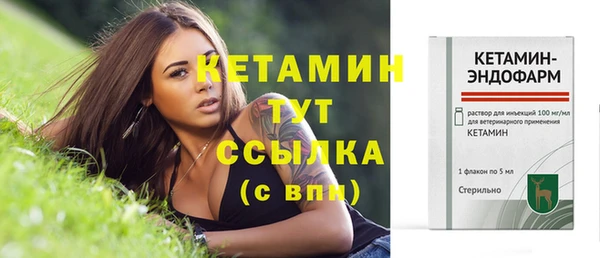сатива Вязники