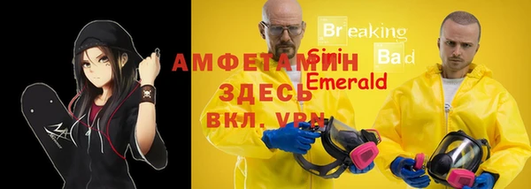 прущие грибы Горняк