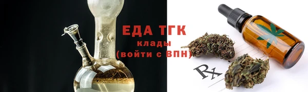прущие грибы Горняк
