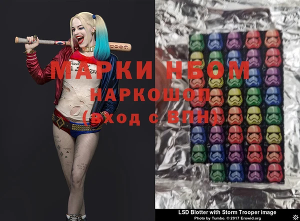 прущие грибы Горняк