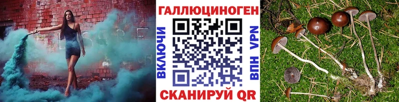 продажа наркотиков  Зеленоградск  Псилоцибиновые грибы мицелий 